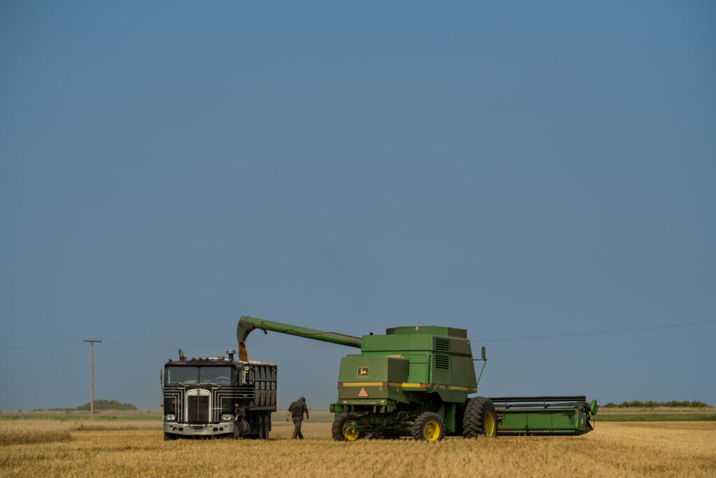 Wheatland accounting grain